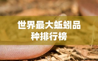 世界最大蚯蚓品种排行榜