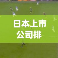 日本上市公司排名大揭秘，哪些公司领跑市场？
