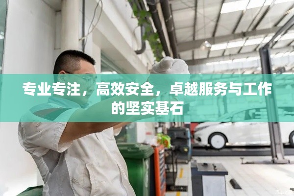 专业专注，高效安全，卓越服务与工作的坚实基石