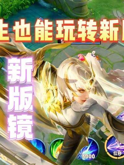 新版本镜,灵活执行策略-高级版_v9.289