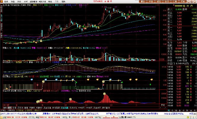 湘财金禾官方下载,实证数据解释定义_KP_v9.311