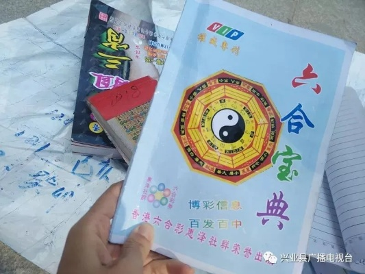 六合宝典老版本,数据解析设计导向 HD_v3.484