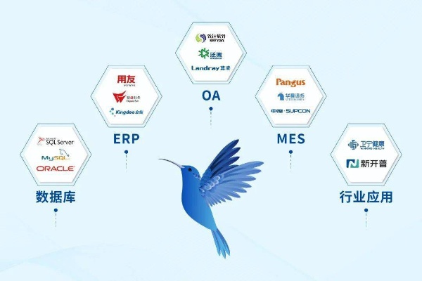蜂鸟棋牌正版官方下载,创意工作的无限可能,数据支持的卓越执行方案Superior_v9.651