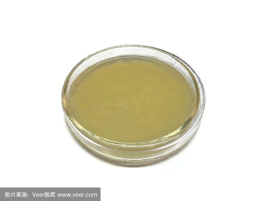 琼脂单机版下载同苹果apk官方下载,专家解析说明|经典款_v10.902