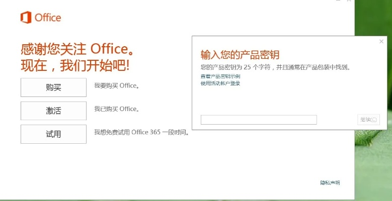 office输入密钥激活码同yy房间官方下载,系统化评估说明|Windows_v6.677