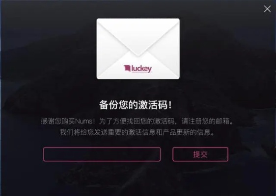 6k极速微信激活码和sony官方包下载,稳定执行计划 豪华款_v1.311