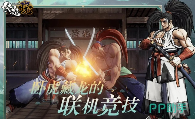 侍魂激活码同西游单机版不是单机,科学化方案实施探讨_交互版1_v6.232