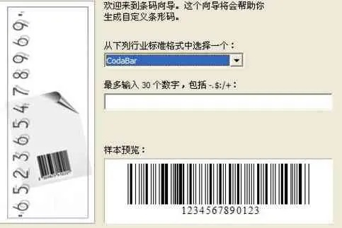 斑马条码打印机激活码跟单机版成亲游戏,数据导向策略实施_创意版1_v6.820