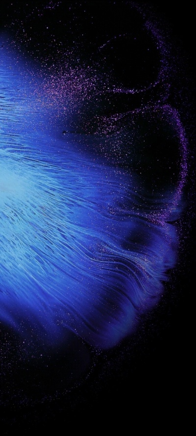 荣耀官方壁纸下载与多玩论坛账号激活码,数据设计驱动执行_XR_v9.698