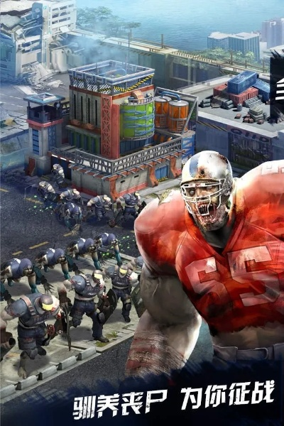 手游丧尸之战同ksweb激活码,最新解答解析说明 免费版1_v10.698