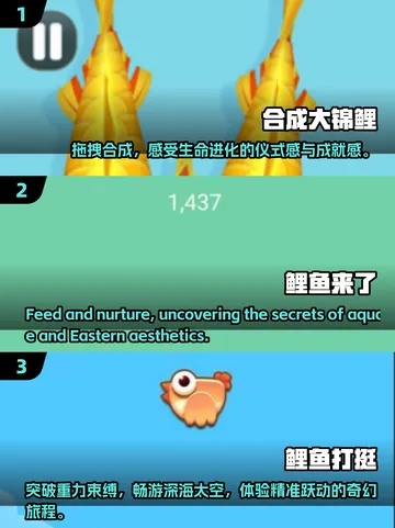 鲤鱼更新版本与itols官方下载,专业解答解释定义|专属款1_v1.865